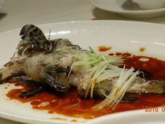 android_upload_pic-東海海鲜酒家(中信广场店)