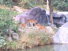 -宁波野生动物园