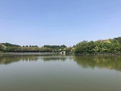 -塘沽森林公园