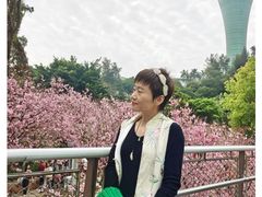 -狐尾山公园