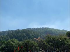 -火炉山森林公园