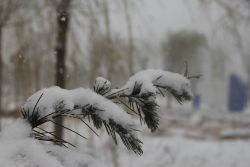 -南京金牛湖风景区