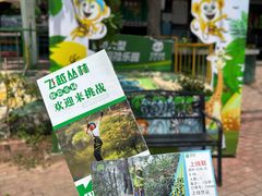 -芦仙山景区-飞越丛林探险乐园