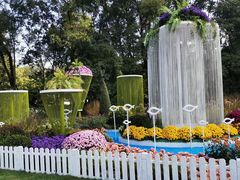 -上海共青森林公园