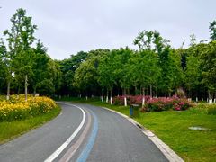 -贡湖湾湿地公园