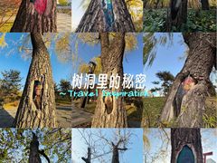 -迎泽公园
