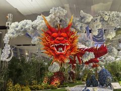 -河内内排国际机场