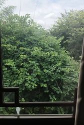 -莲生母婴月子中心(清水河公园店)