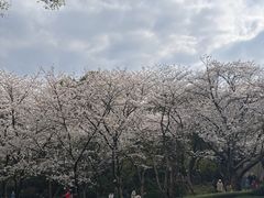 -中国茶叶博物馆(双峰馆区)