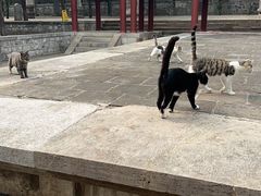-四门塔风景区