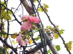 -名花谷生态庄园