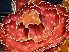 -洛阳市隋唐城遗址植物园