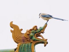 -永乐宫