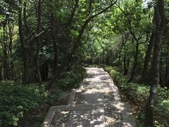 -溪口-滕头旅游景区