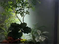 -芸山季·云南山珍菌火锅(南翔印象城MEGA店)