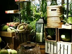 -大头椰·椰子鸡火锅(南宁万象城店)