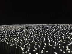 景点-苏州太湖迷笛