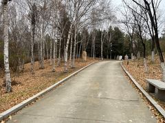 -长春世界雕塑园冰雪艺术天地