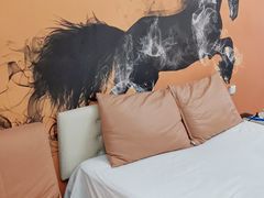 -影都会酒店式主题情侣私人影院猫舍猫咖店(中街店)