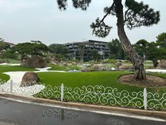 -罗红摄影艺术馆