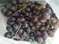 -三旗百汇商品城