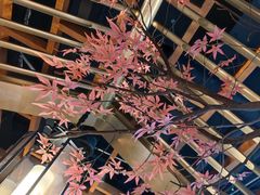 大堂-庆江南江南菜(琴湖溪里花园城店)