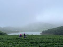 -嵛山岛