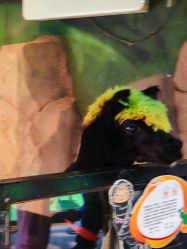 -酷嗒动物文化乐园(cutezoo西溪乐天城店)