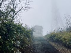 -武陵山森林公园