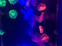 -台州海洋世界