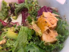 -百好乐宠物友好餐厅(朝外大街店)