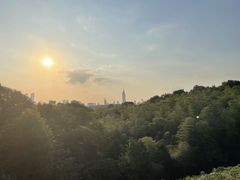 -紫金山山顶公园