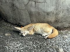 -二一九公园