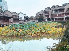 -龙潭水乡