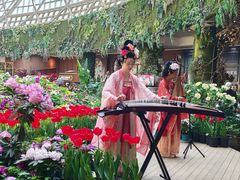-花之城