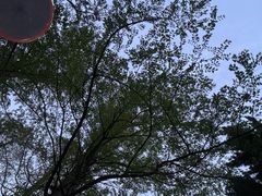 -郑和公园