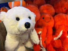 -上海海洋水族馆