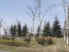 -洨河生态公园