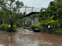 -新加坡飞禽公园