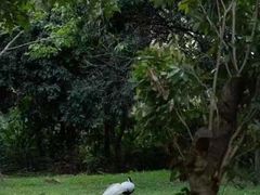 -福建鲤鱼洲酒店