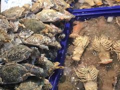 -兰坡海鲜市场
