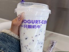 -一只酸奶牛(曲江龙湖星悦荟店)