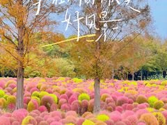 -花开海上生态园