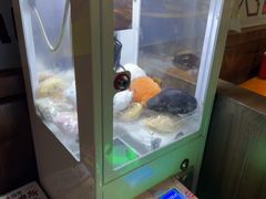 -合风谷(南下塘店)