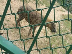 -泉州海丝野生动物世界