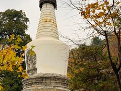 -大觉寺-停车场