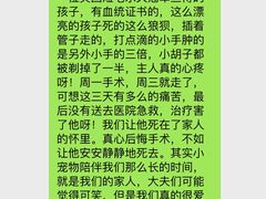 -北京观赏动物医院·24小时大型综合·猫专科·异宠专科