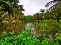 -白沙门生态公园