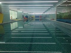 -小小王国亲子游泳俱乐部(锦辉中心)