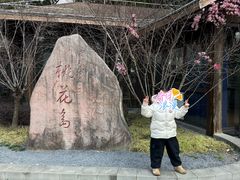 -金鸡湖桃花岛